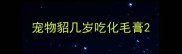 宠物貂几岁吃化毛膏