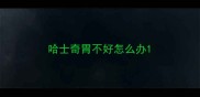 哈士奇胃不好怎么办