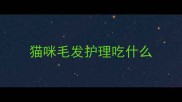猫咪毛发护理吃什么