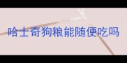 哈士奇狗粮能随便吃吗