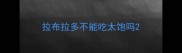 拉布拉多不能吃太饱吗
