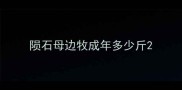 陨石母边牧成年多少斤