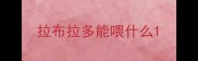 拉布拉多能喂什么