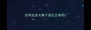 拉布拉多犬鼻子变红正常吗
