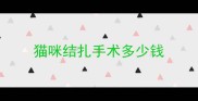 猫咪结扎手术多少钱