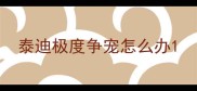 泰迪极度争宠怎么办