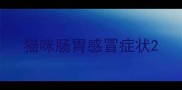 猫咪肠胃感冒症状