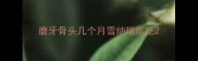 磨牙骨头几个月雪纳瑞能吃
