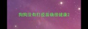 狗狗没有打疫苗确很健康