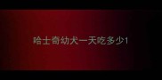 哈士奇幼犬一天吃多少