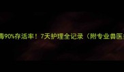 细小病毒90存活率7天护理全记录附专业兽医指导