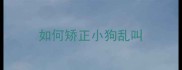 如何矫正小狗乱叫