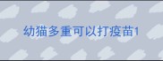 幼猫多重可以打疫苗
