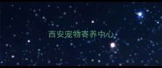 西安宠物寄养中心