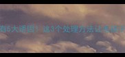 边牧眼睛发红有5大诱因这3个处理方法让毛孩子远离红眼危机