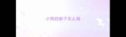 小狗的裤子怎么做