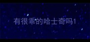有很乖的哈士奇吗