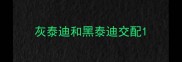 灰泰迪和黑泰迪交配