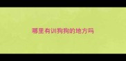 哪里有训狗狗的地方吗