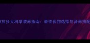 拉布拉多犬科学喂养指南最佳食物选择与营养搭配全