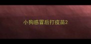 小狗感冒后打疫苗