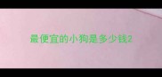 最便宜的小狗是多少钱