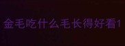 金毛吃什么毛长得好看