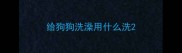 给狗狗洗澡用什么洗