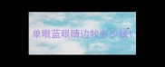 单眼蓝眼睛边牧多少钱