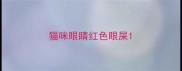 猫咪眼睛红色眼屎