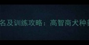 中国狗狗智商排名及训练攻略高智商犬种养护指南与行为
