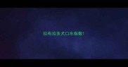 拉布拉多犬口水指数