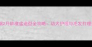 雪纳瑞2月龄椒盐造型全攻略幼犬护理与毛发打理技巧
