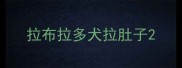 拉布拉多犬拉肚子