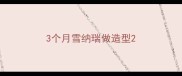 3个月雪纳瑞做造型