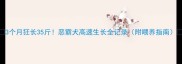3个月狂长35斤恶霸犬高速生长全记录附喂养指南