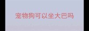宠物狗可以坐大巴吗