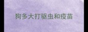 狗多大打驱虫和疫苗
