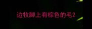 边牧脚上有棕色的毛