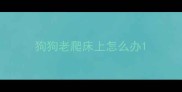 狗狗老爬床上怎么办