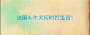 法国斗牛犬何时打疫苗