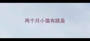 两个月小猫有跳蚤