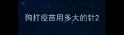 狗打疫苗用多大的针