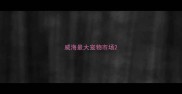 威海最大宠物市场