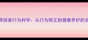 哈士奇拆家行为科学从行为矫正到健康养护的全攻略