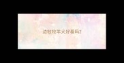 边牧牧羊犬好看吗