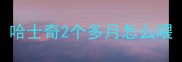 哈士奇2个多月怎么喂