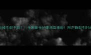 边牧掉毛剃不剃全网最全护理指南来啦附正确剃毛时间表