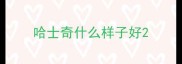 哈士奇什么样子好