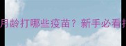 幼犬疫苗接种全攻略1月龄打哪些疫苗新手必看打疫苗时间表和注意事项